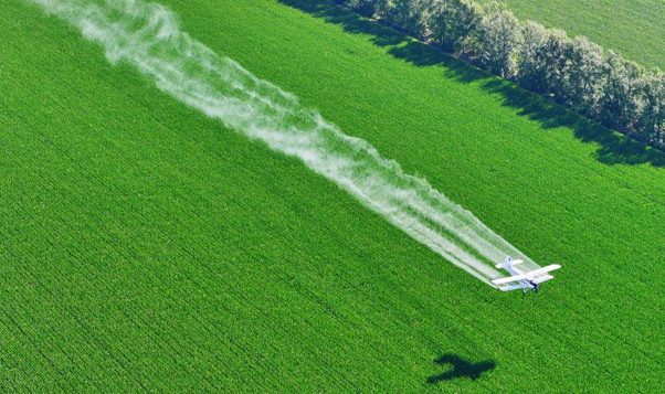 China moves to strengthen food security across grain supply chain in 2026-2030 img