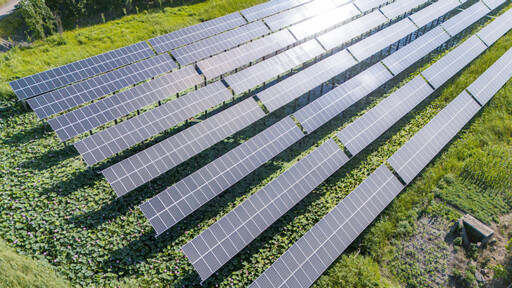 Ecological civilization ushers in new paradigm of global green development img