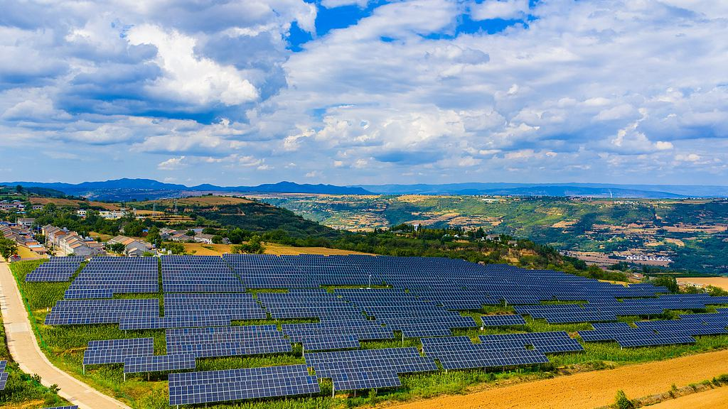 China releases white paper on low-carbon development img