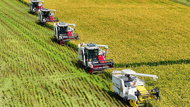 How technology powers China's drive for common prosperity img