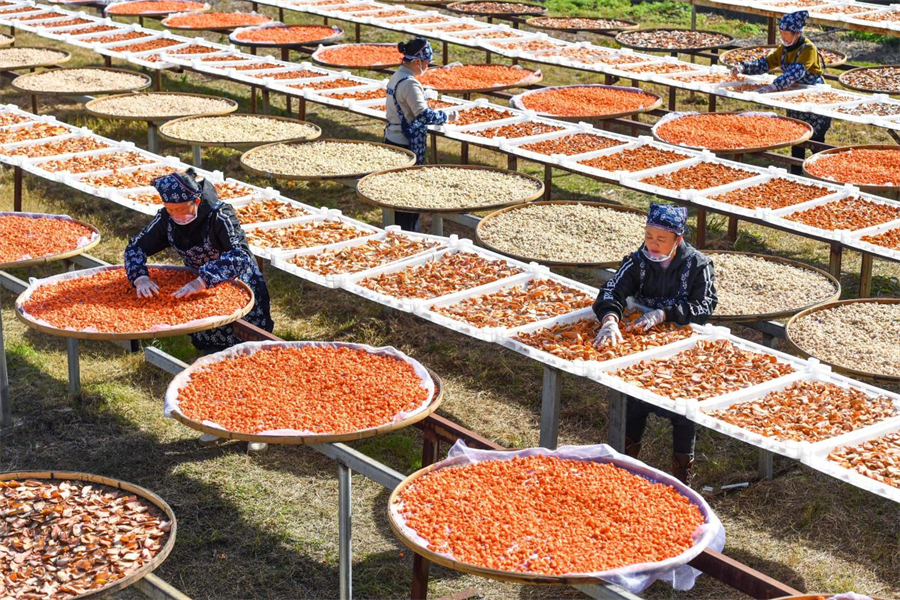 Sweet potato, pumpkin, ginger and carrot are sundried in Lutian village, Tonggu county, Yichun, east China's Jiangxi province, before being processed into featured snacks. [Photo/Zhou Liang]